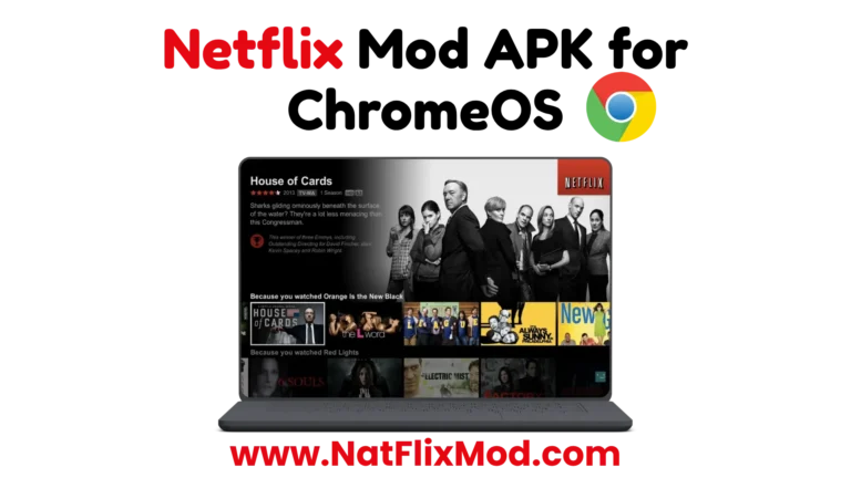 Netflix for Chrome OS